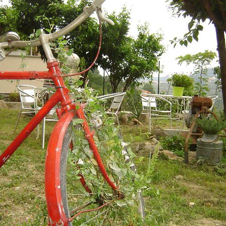 La Dolce Vita B&B นอลี ภายนอก รูปภาพ
