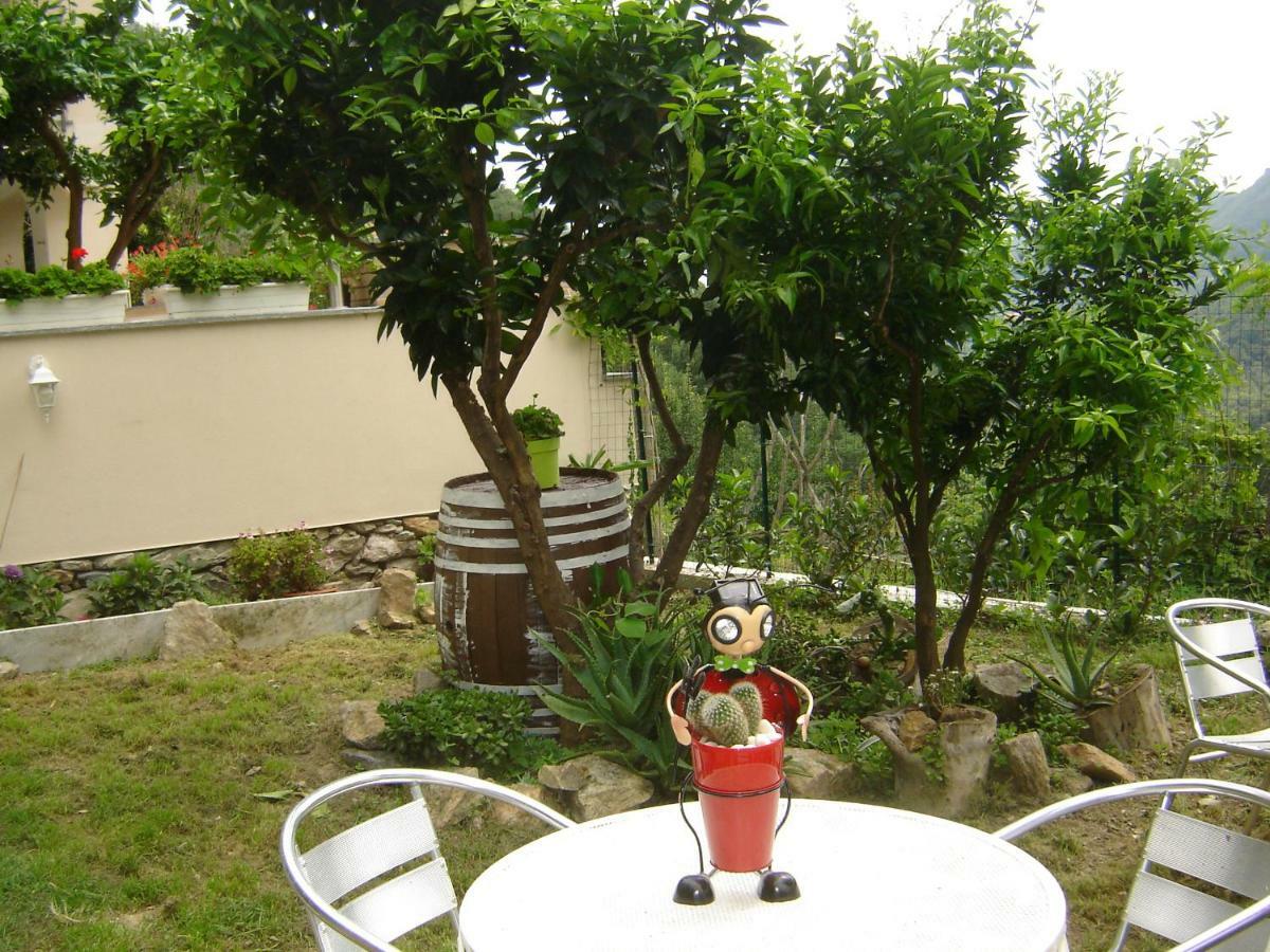 La Dolce Vita B&B นอลี ภายนอก รูปภาพ