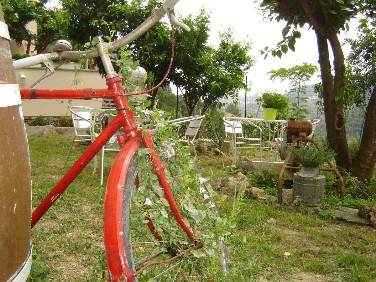 La Dolce Vita B&B นอลี ภายนอก รูปภาพ