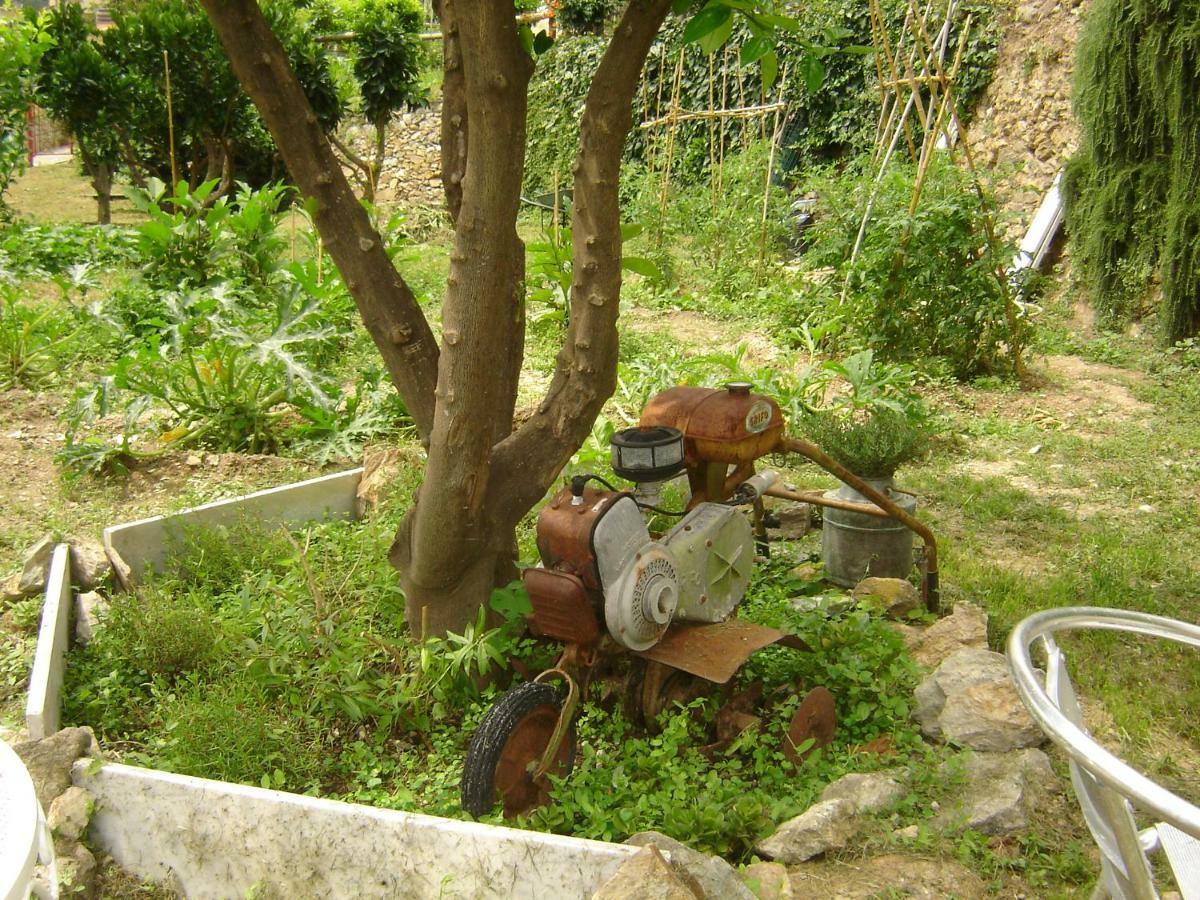 La Dolce Vita B&B นอลี ภายนอก รูปภาพ